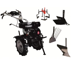 Motocultor pe benzina Worker HB 705.4 RS ECO + Freze flexmag.md