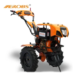 Motocultor pe motorina Aerobs BSD1350DE flexmag.md