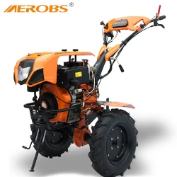Motocultor pe motorina Aerobs BSD1350DE flexmag.md