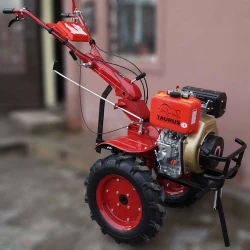 Motocultor pe motorina Taurus GT1350 + freza flexmag.md