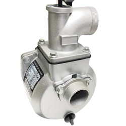 Motopompa pe benzina Bison BS20 flexmag.md