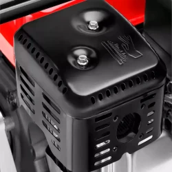 Насос бензинового двигателя Ronix RH-4051 flexmag.md