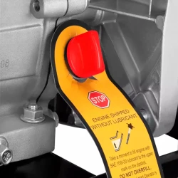 Насос бензинового двигателя Ronix RH-4051 flexmag.md
