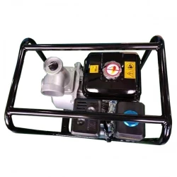 Мотопомпа бензиновая Technoworker WP 60 B flexmag.md