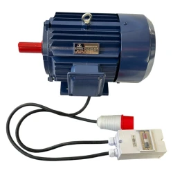 Двигатель Demetra DM551 flexmag.md