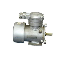 Motor electric Engine AIM 71 A (10311611) flexmag.md
