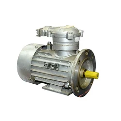 Motor electric Engine AIM 80 A (10314621) flexmag.md