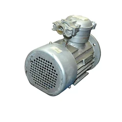 Двигатель Engine AIM 80 A (10316611) flexmag.md