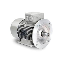 Motor electric Engine AIM 90 L (10318621) flexmag.md
