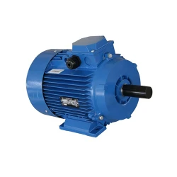 Двигатель Engine AIR 100 L (10118811) flexmag.md