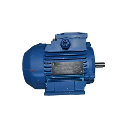 Двигатель Engine AIR 100 L 4-2 (10123311) flexmag.md