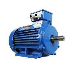 Двигатель Engine AIR 100 S (10121411) flexmag.md