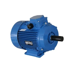 Двигатель Engine AIR 112 M (10121811) flexmag.md