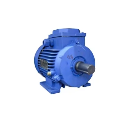 Двигатель Engine AIR 132 M8 (10125811) flexmag.md