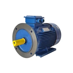 Motor electric Engine AIR 160 (12354610) flexmag.md
