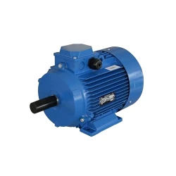 Двигатель Engine AIR 56 A4 (10107411) flexmag.md