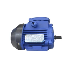 Двигатель AIR 63 B (10109611) flexmag.md