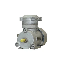 Двигатель Engine AIR 63 B (10311411) flexmag.md
