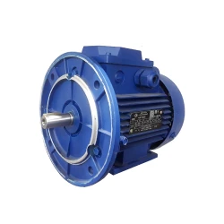 Двигатель Engine AIR 71 B 6 (101126121) flexmag.md