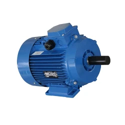 Двигатель Engine AIR 80 A (10111811) flexmag.md