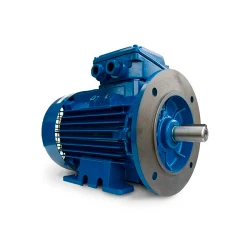 Motor electric Engine AIR 90 L (10121221) flexmag.md