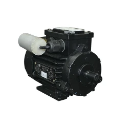 Motor electric Engine AIRE 56 A (10807411) flexmag.md