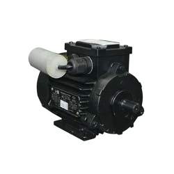 Motor electric Engine AIRE 56 B (10808211) flexmag.md