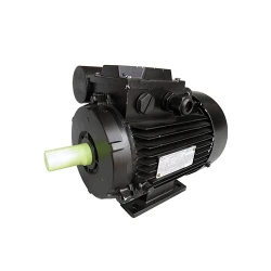 Двигатель Engine AIRE 71 B (10814211) flexmag.md