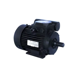 Двигатель Engine AIRE 80 B (10818211) flexmag.md