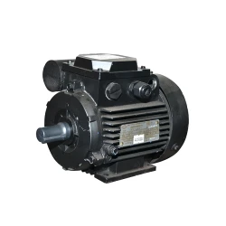 Motor electric Engine AIRE 80 B 4 (10816411) flexmag.md