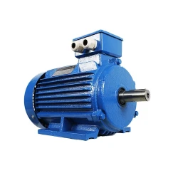 Motor electric Engine AIS 71 B (AIS71B4-2) flexmag.md
