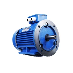 Motor electric Engine AIS 90 S (AIS90S2IM2081) flexmag.md