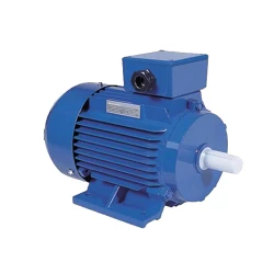Двигатель Engine Y2 180 M (Y2-180M-2) flexmag.md
