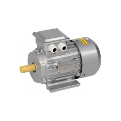 Motor electric Iek 21080IEK flexmag.md