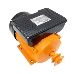 Motor electric Rotor RME100L/2 flexmag.md