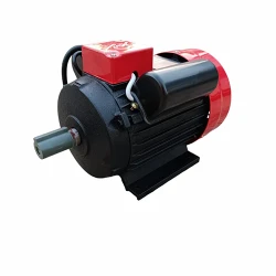 Двигатель Yamamoto YL100L-2 flexmag.md