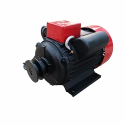 Двигатель Yamamoto YL802-2 flexmag.md