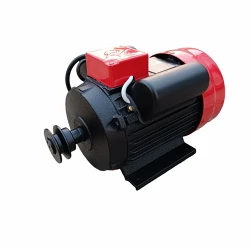Двигатель Yamamoto YL90L-2 flexmag.md