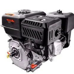 Двигатель бензиновый Aerobs BS220X flexmag.md
