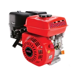 Motor pe benzina Norwik NK168FB flexmag.md