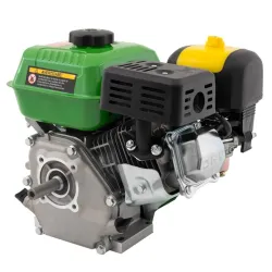 Двигатель бензиновый Partner Pro PGX200 (arbore 19 mm) flexmag.md
