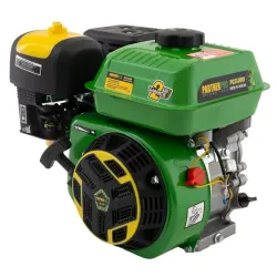 Двигатель бензиновый Partner Pro PGX200 (arbore 20 mm) flexmag.md