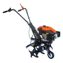 Motosapa pe benzina Detoolz DZ-M147-S001-G01 flexmag.md
