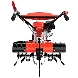 Motosapa pe benzina Hwasdan H950 flexmag.md