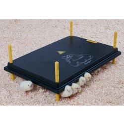 Panou de incalzire pentru pui Demetra DM-60 flexmag.md