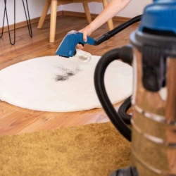 Perie pentru aspirator Scheppach PRB300 flexmag.md