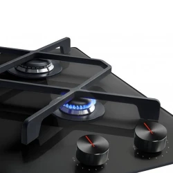 Варочная панель Hansa BHKS632590 flexmag.md