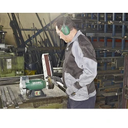 Станок точильный Metabo BS 175 (601750000) flexmag.md