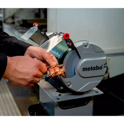Polizor de banc Metabo DS 125 M (604125000) flexmag.md