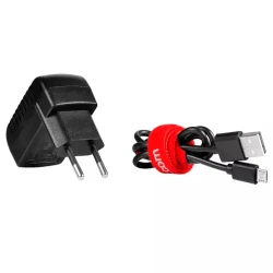 Аккумуляторная прямая шлифовальная машина Ronix 3420 flexmag.md